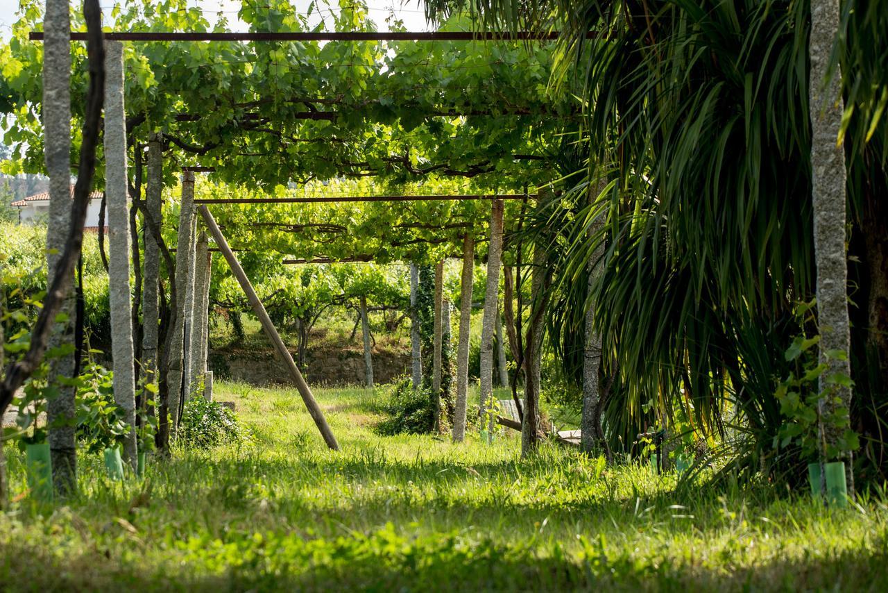 Quinta De Lourosa Guest House โลซาดา ภายนอก รูปภาพ